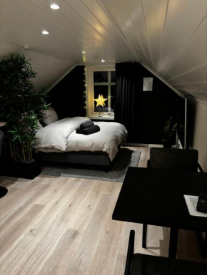 NY og moderne studioleilighet med elbil lading